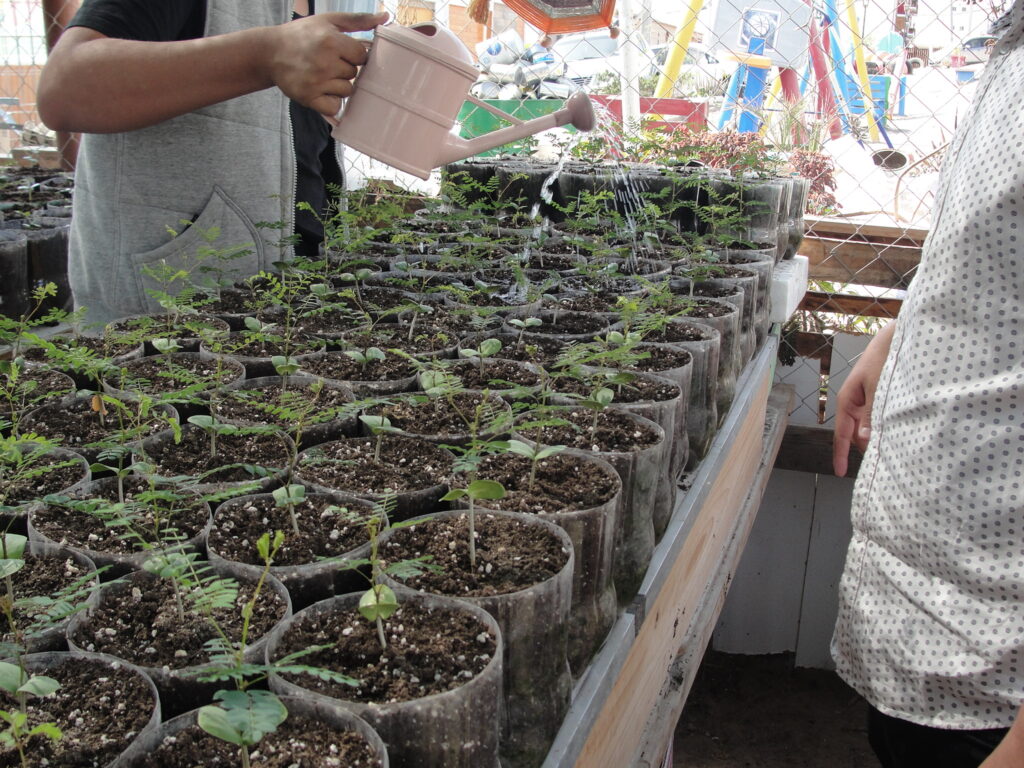 Programa Multimodal desarrolla iniciativa de voluntario ecológico con ONG Planeta Verde